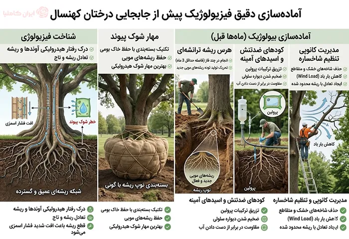 جابجایی درختان کهنسال